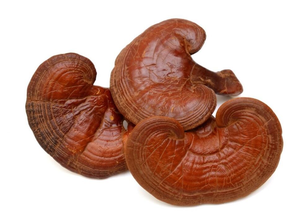 Predstonorm sudėtyje yra reishi grybų